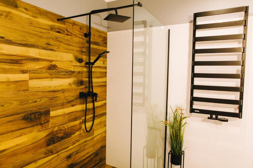 Apartamenty 'Okno z widokiem' - 13