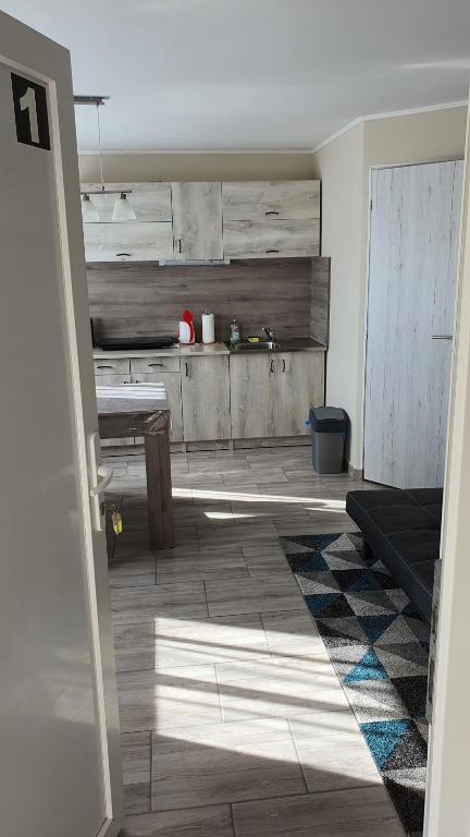 Kuchyň nebo kuchyňský kout v ubytování Peter's Apartman Pápa