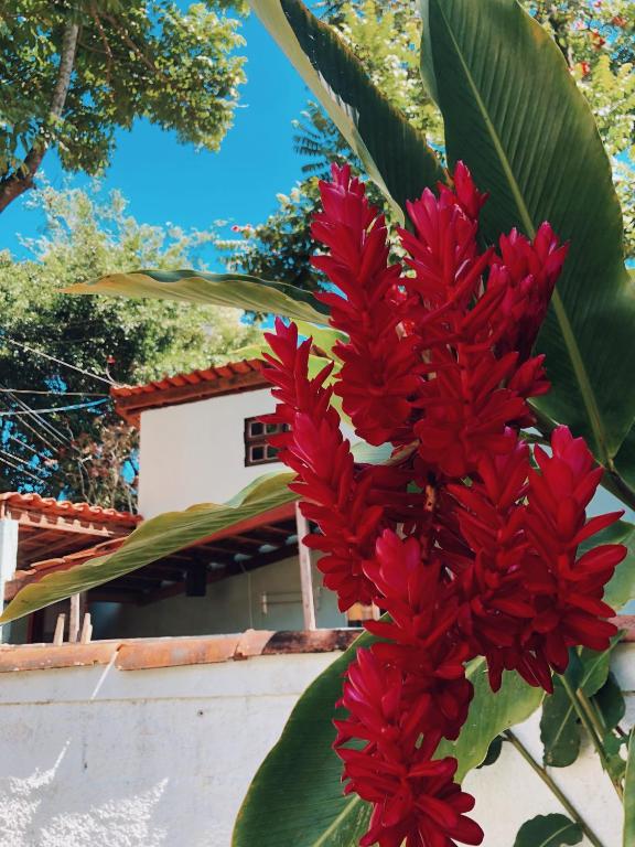  BANGALÔ PITANGUEIRA - SEU HOME-OFFICE NA PRAIA