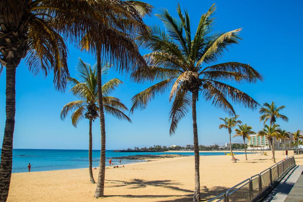 una playa con palmeras y el océano en Casa Juana a 50 metros la playa del Reducto y wifi free, en Arrecife