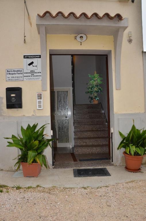 Exteriér nebo vchod ubytování Domo - Guest-House Il Nespolo Fiorito