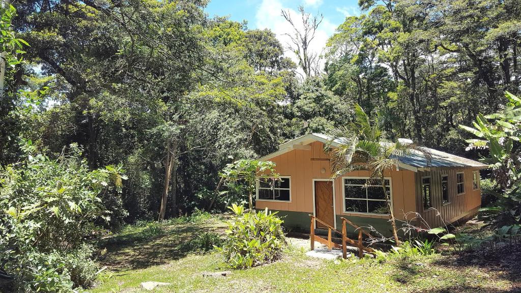 une petite maison au milieu d'une forêt dans l'établissement Forest Garden House, à Monteverde Costa Rica