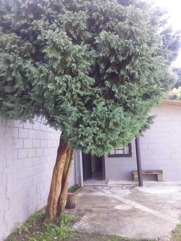  Kitnet Recanto De Campos