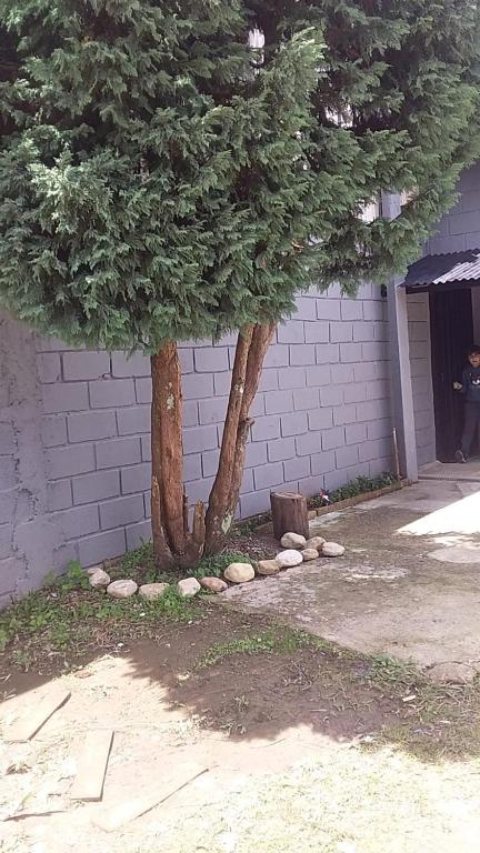  Kitnet Recanto De Campos