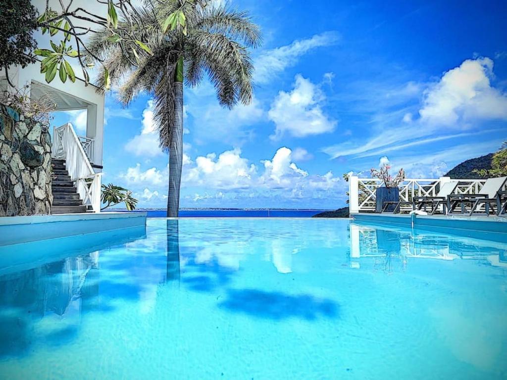 una piscina con una palmera y el océano en Villa Casa Sand, luxury, 5 min walk from Anse Marcel beach en Anse Marcel 