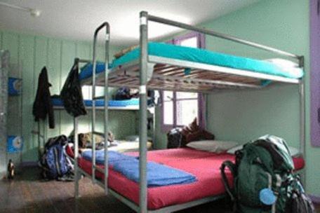 
Single Bed in 6-Bed Female Dormitory Room

