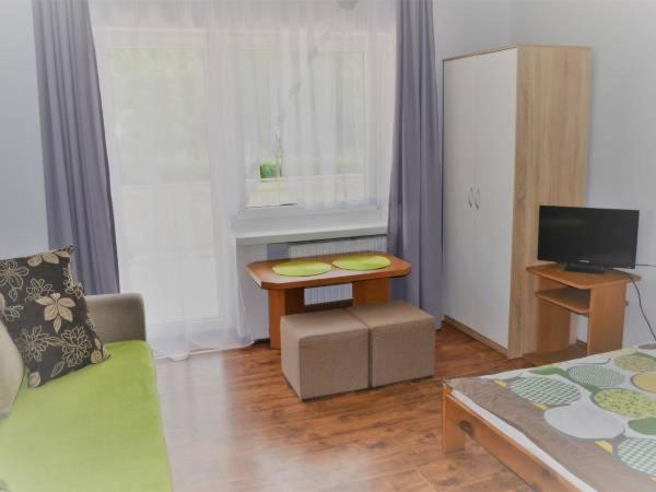 Televízia a/alebo spoločenská miestnosť v ubytovaní Willa Safra Szczawnica