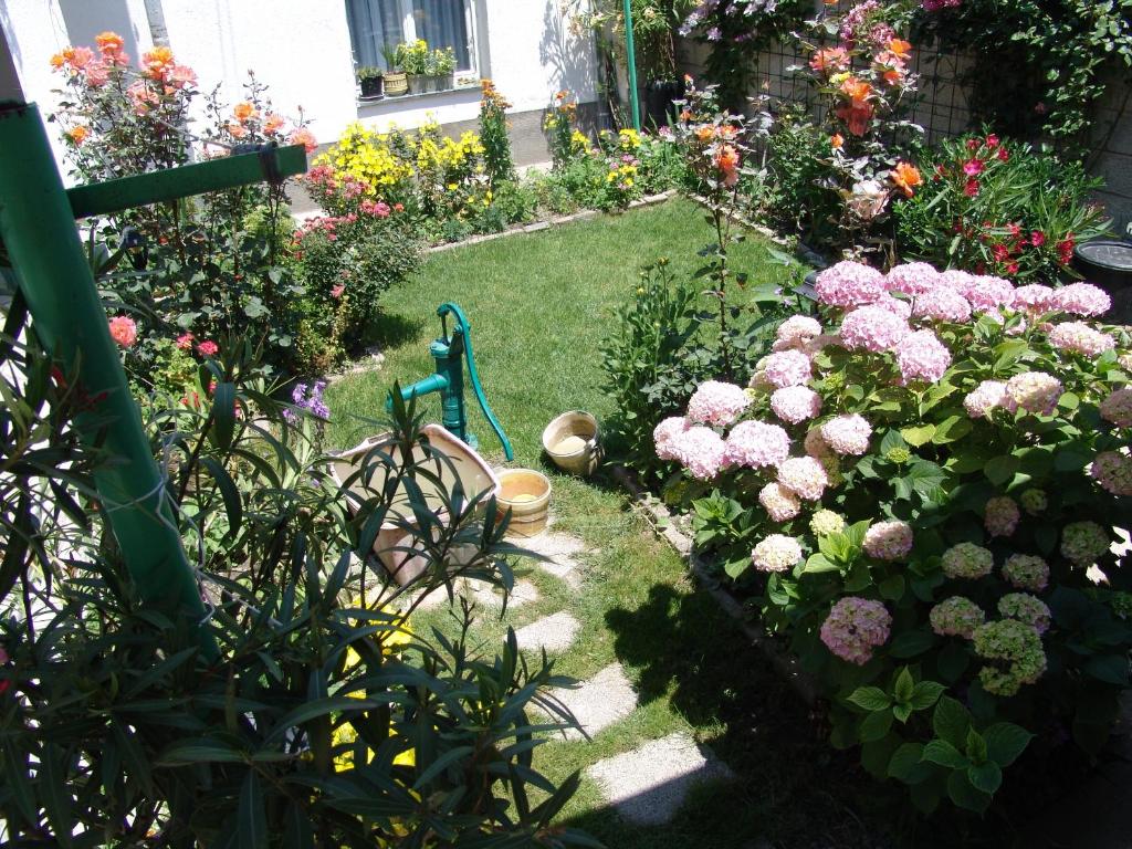 ogród z różowymi różami i innymi kwiatami w obiekcie Bogdanoski Studios & Guest Rooms w Ochrydzie