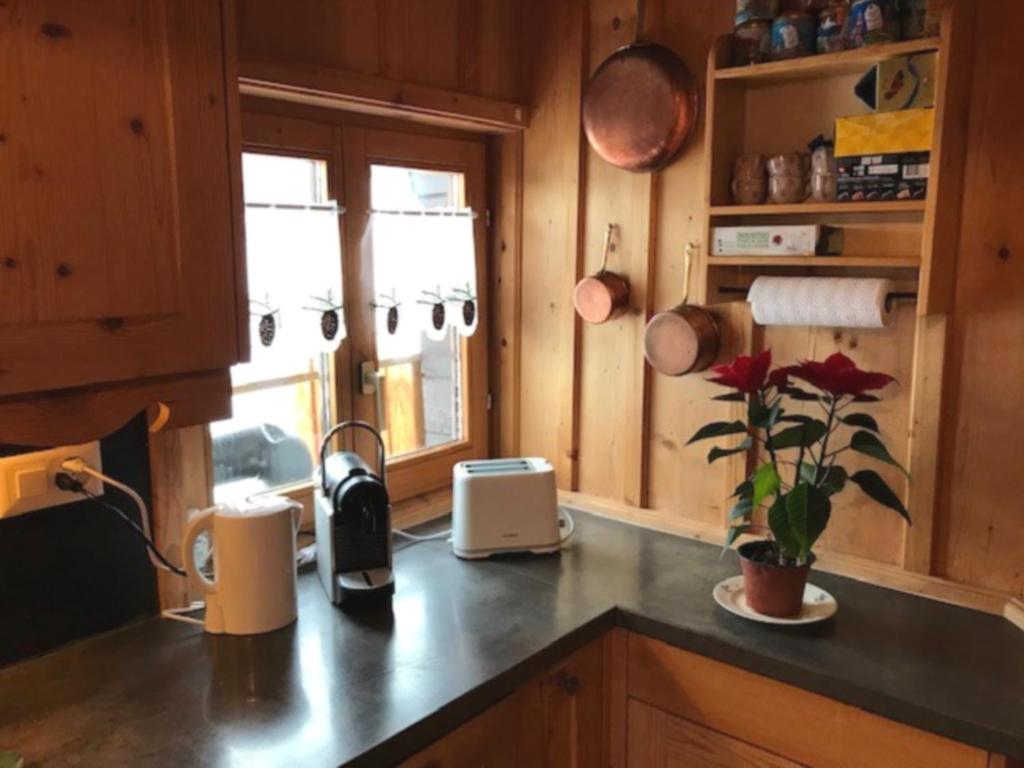 een keuken met houten kasten en een aanrecht bij Chalet Le Biolley 2 in Orsières