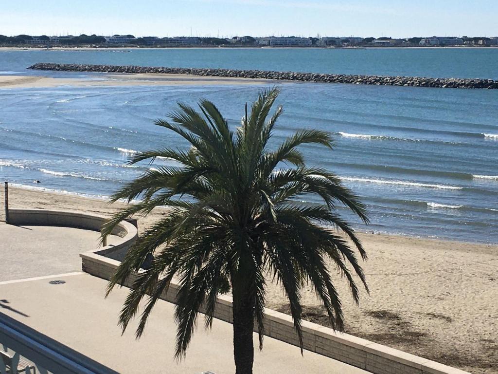 un palmier sur une plage au bord de l'eau dans l'établissement VILLA GEORGES, au Grau-du-Roi