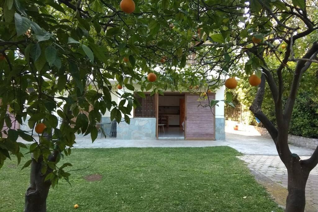 Vonkajšia záhrada v ubytovaní Electra Apartment in Epidaurus