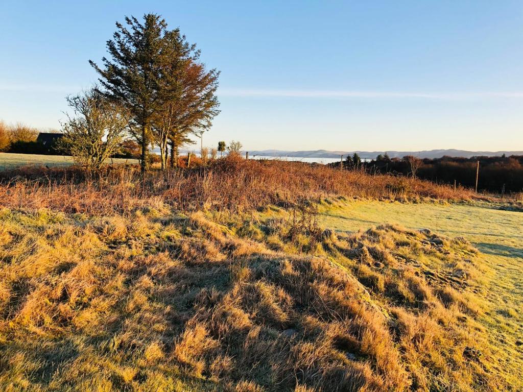 Isle of Gigha Cottages