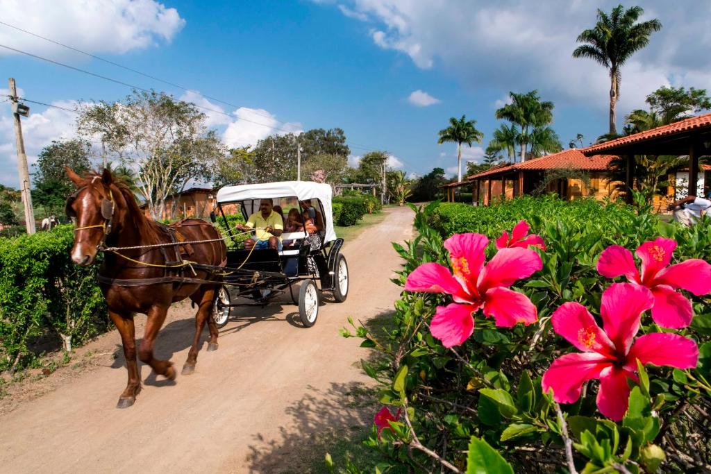  Fazenda Colibri