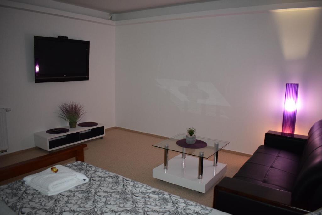 GRAND HARRACHOV PENSION v centru - 7