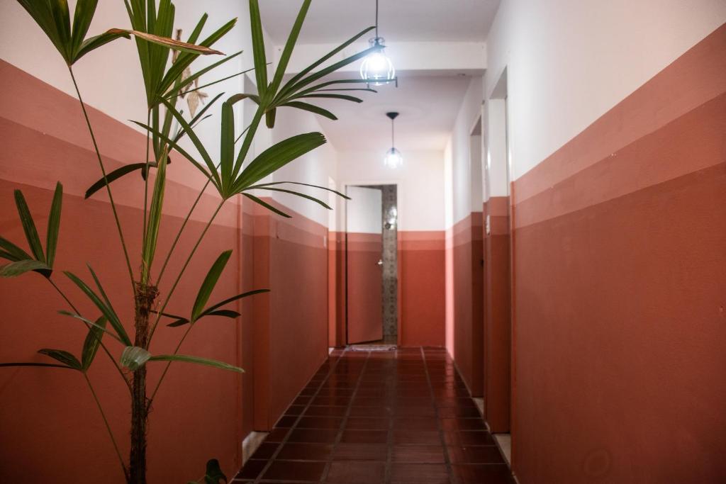  HABITAT - Casa de Hospedagem