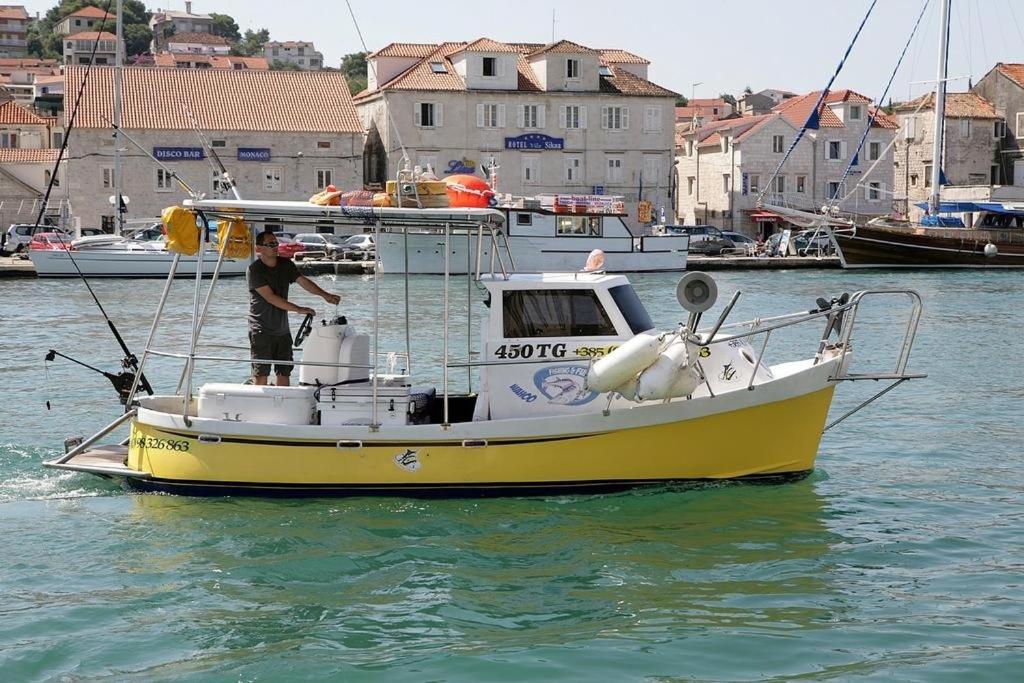 Príroda v okolí apartmánu