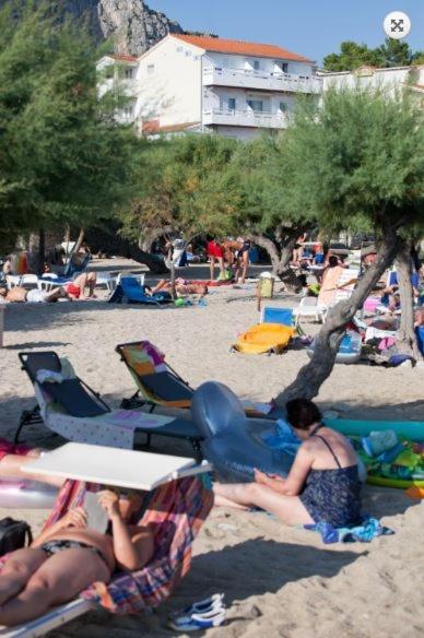 Príroda v okolí apartmánu