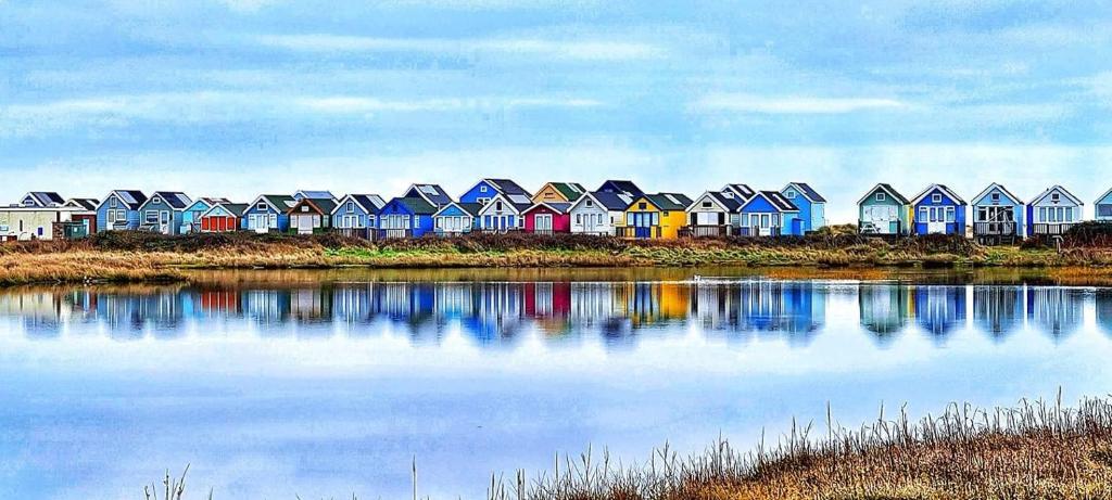 a row of colorful houses next to a body of water at Bub Lane Cottage in Christchurch