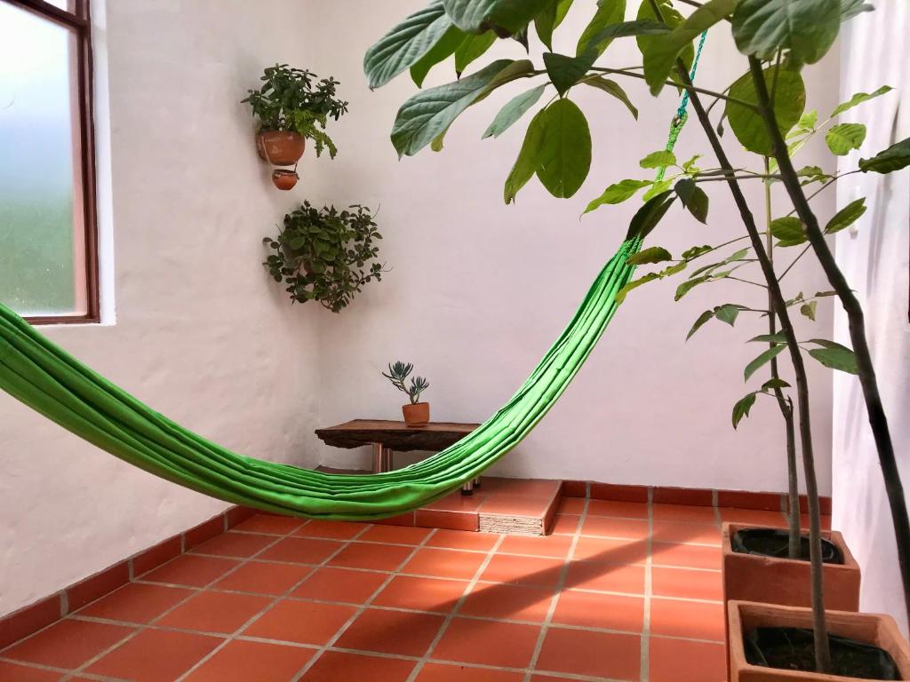 Zahrada ubytování Villa del Sol - Apartamentos Turísticos