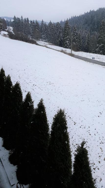 VILLA JAGODOVO Biały Dunajec v zime