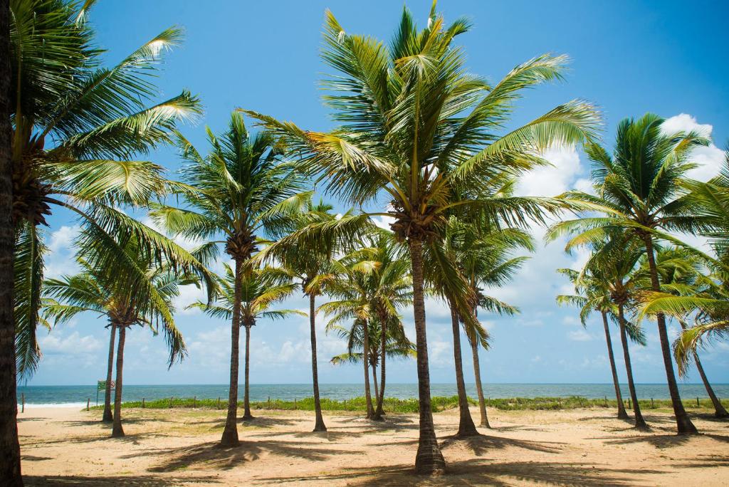  Lindo e aconchegante apto com Wi-Fi à beira-mar