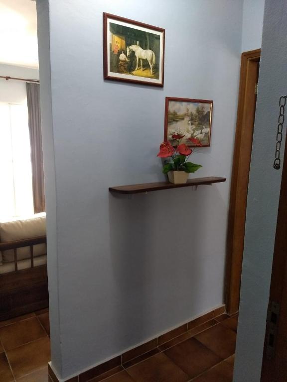  Julio Souza Ubatuba - Internet 120 Mega!