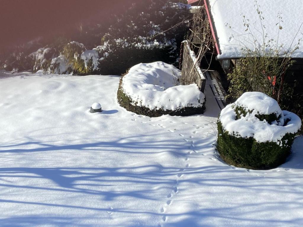 Cosy holiday home in Olsberg with garden v zimě