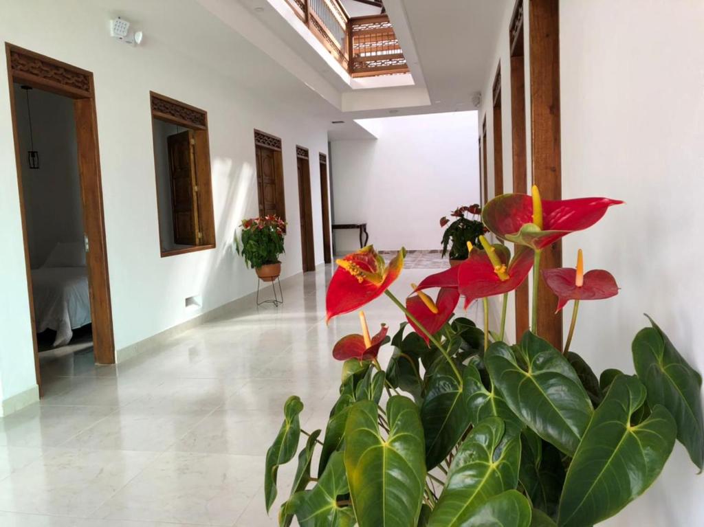 Casa Isabel Hotel