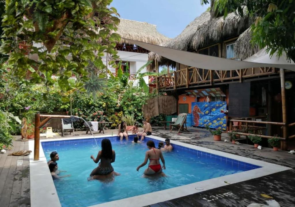 a group of people in the swimming pool at a resort at La Natura Hostel & Pool in Palomino
