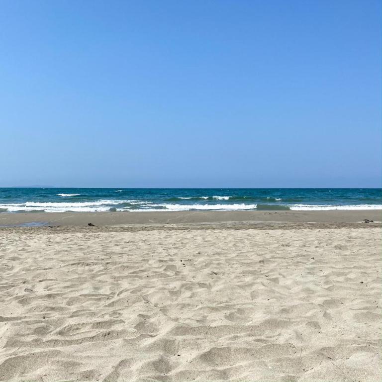 a sandy beach with the ocean in the background at La Ensenada Beach Resort in Tela