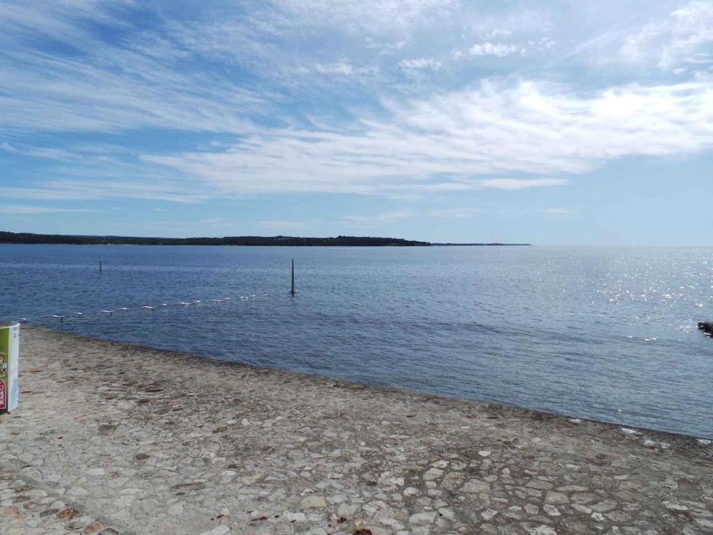 a large body of water with a sandy beach at Apartment Valbandon, Istria 6 in Valbandon