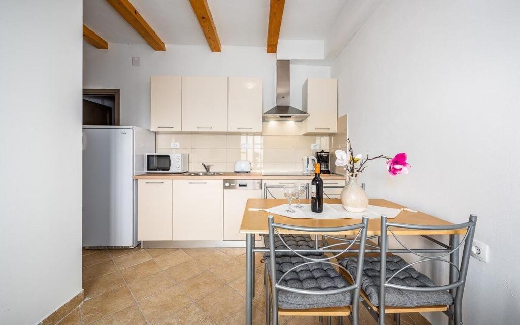 Kuchyňa alebo kuchynka v ubytovaní Apartments Drenje