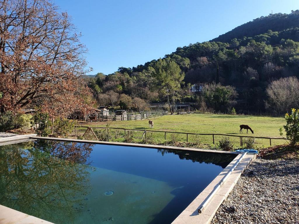 Bazén v ubytování Villa in Bargemon with Pool and Mountain Views nebo v jeho okolí