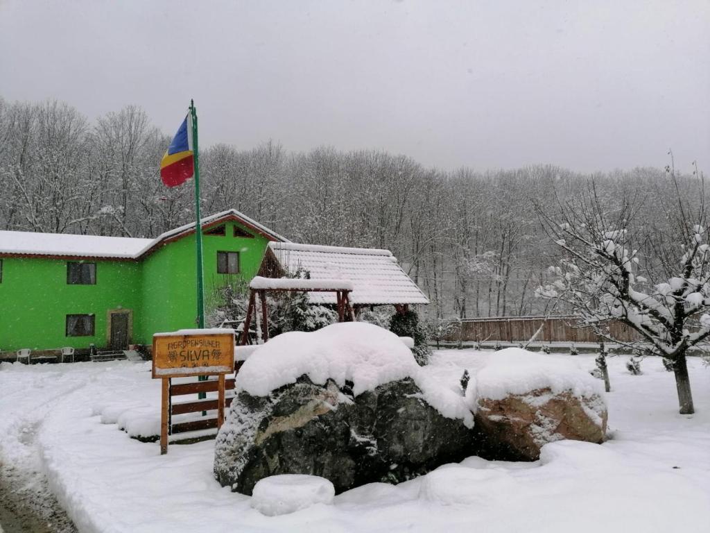 Pensiunea Silva v zimě