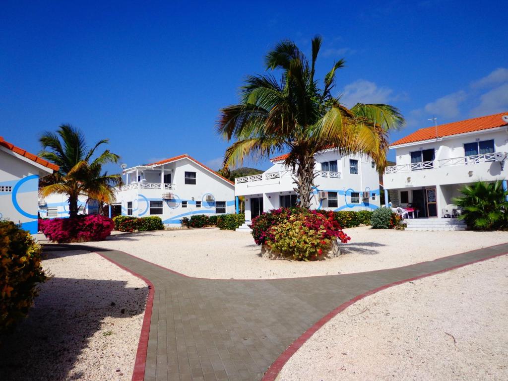 a walkway in front of a building with a palm tree at Marazul Dive Resort in Sabana Westpunt