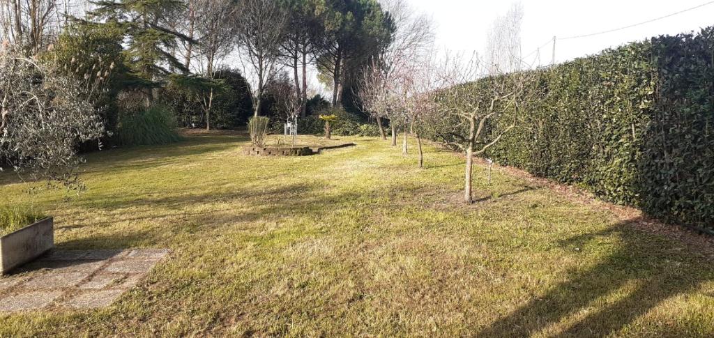 Ogród w obiekcie La Casetta Sul Lago B&B