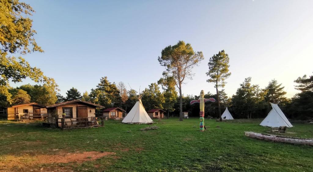 eine Gruppe von Zelten auf einem Feld mit Bäumen in der Unterkunft RANCH DU PUITS DE RIQUIER in Moissac-Bellevue