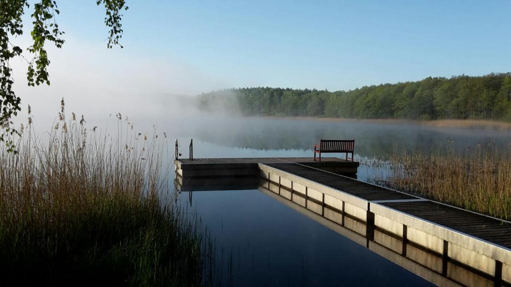 a bench sitting on a dock in the middle of a lake at Familienferienpark Dambeck in Kratzeburg