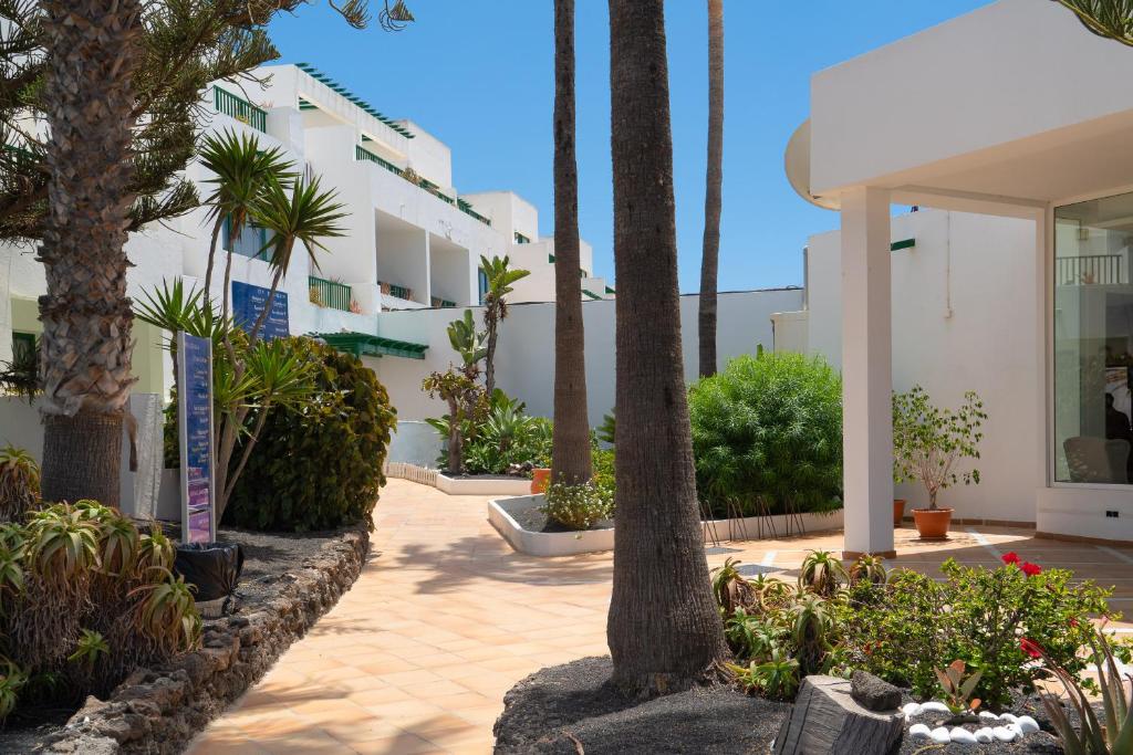 A garden outside Apartamentos Galeon Playa