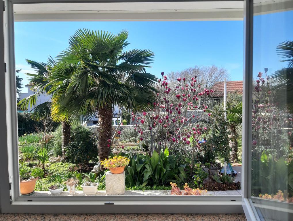 una finestra con vista su un giardino con piante di Apartments Summer Bloom a Krk