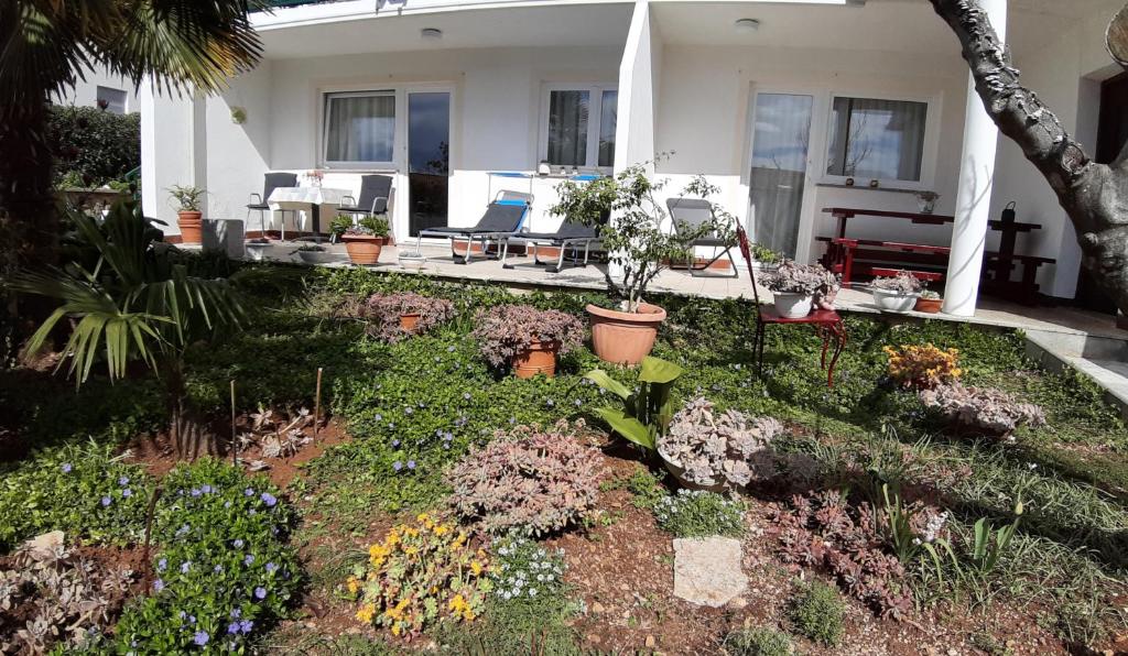 Zahrada ubytování Apartments Summer Bloom