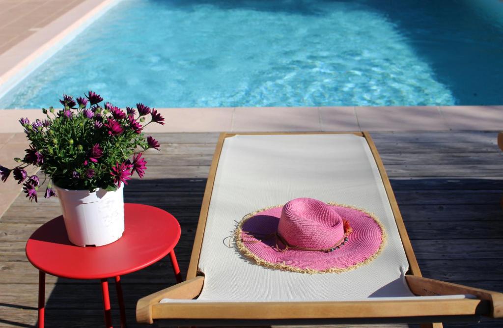 La RoquebrussanneにあるLa Maison D'en Haut en Provenceの植物の横の椅子に座るピンクの帽子