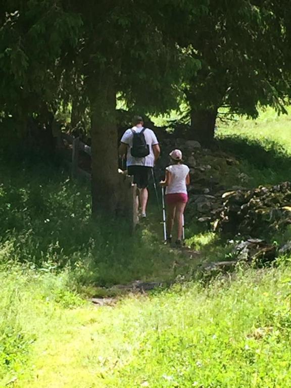 Hosté ubytování Appartamenti Sissi