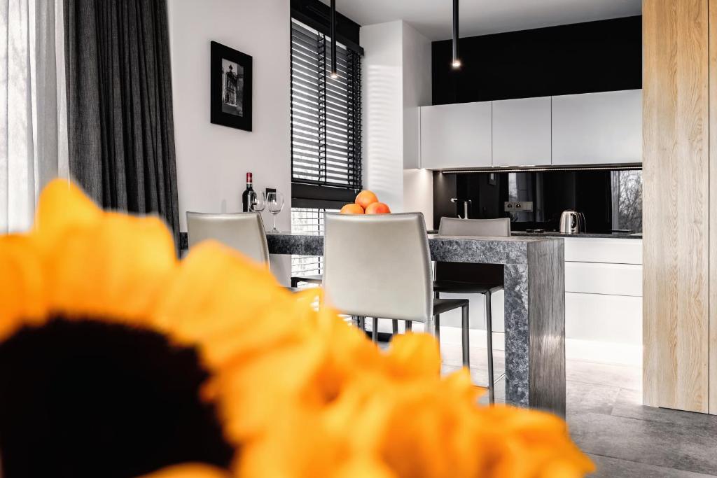 PLATiNIUM RESIDENCE&SPA BASEN-SAUNA "BEST VIEW" CENTER - 9