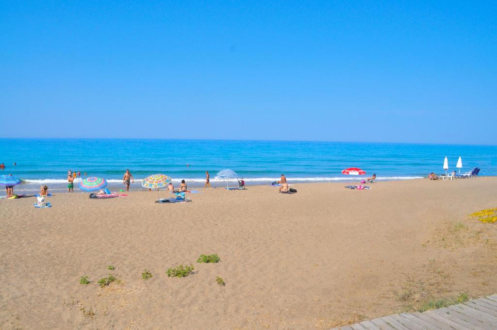 Táj Show holiday homes közelében