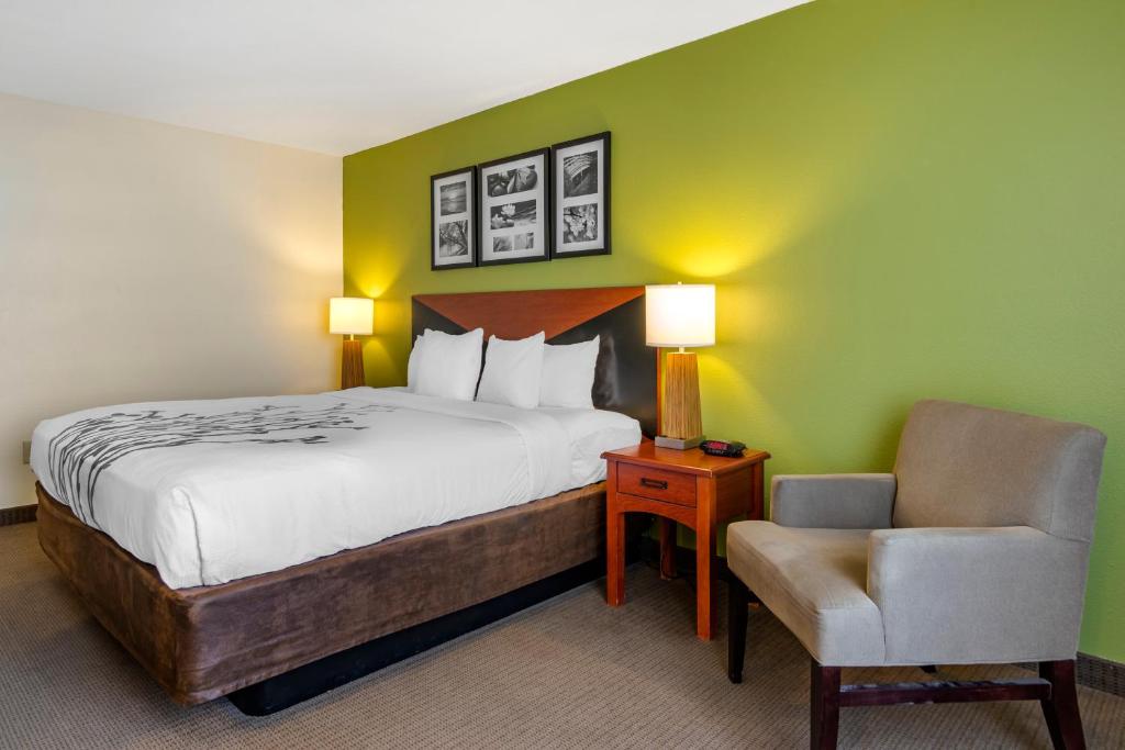 Sleep Inn & Suites Stockbridge Atlanta South - King Room - Non Fumatori