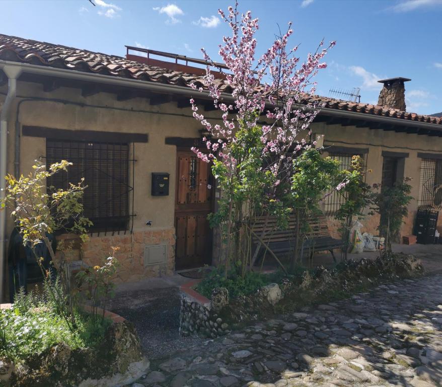 una casa con un árbol floreciente delante de ella en Casa rural pepe, en Trias