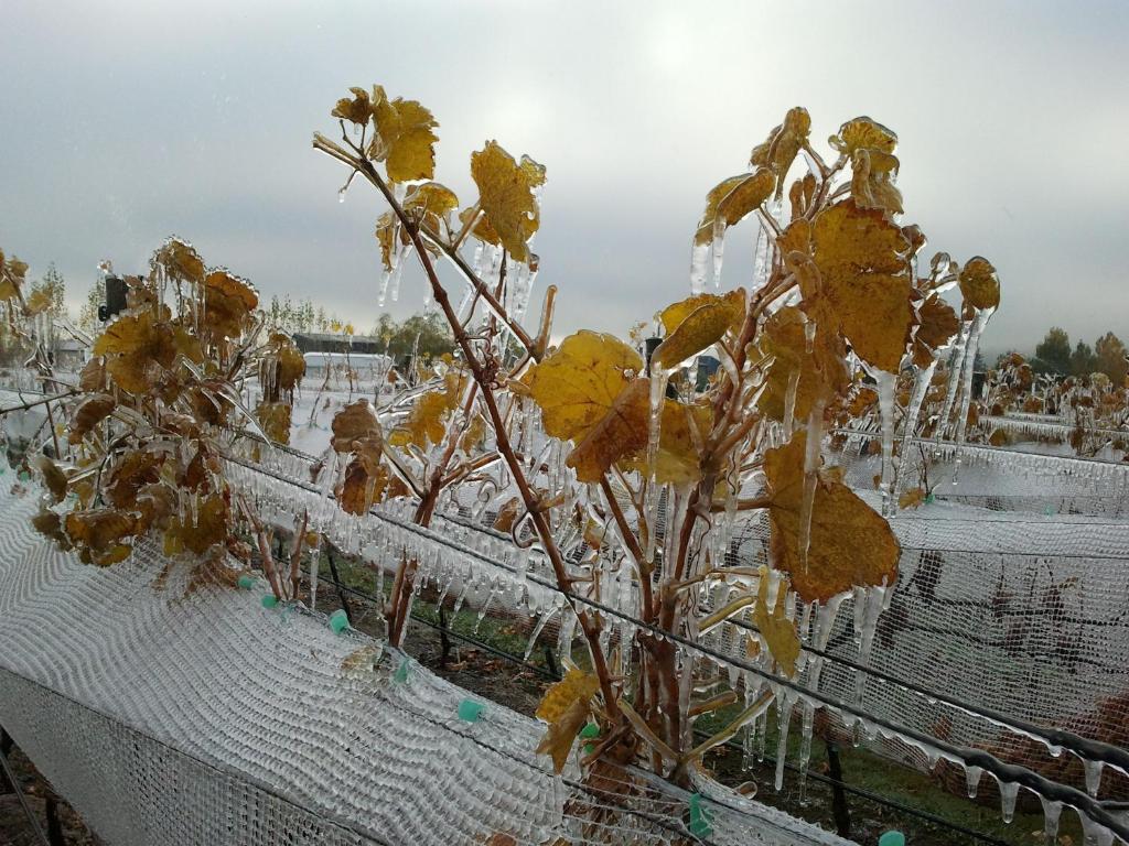 River Rock Estate - Resim 39