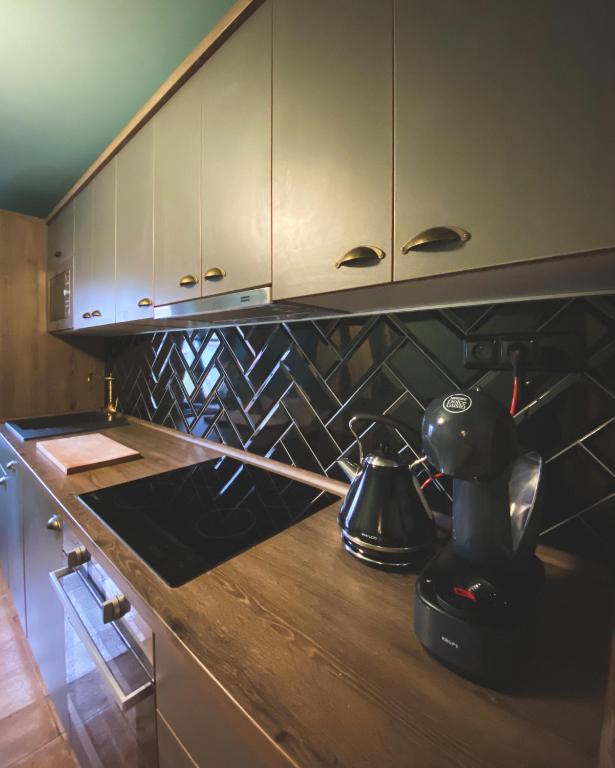Kuchyň nebo kuchyňský kout v ubytování Penzion U Fridy Apartman 1