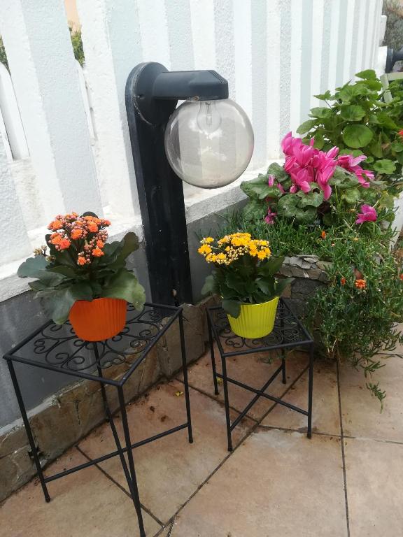 Zahrada ubytování B&B Lety